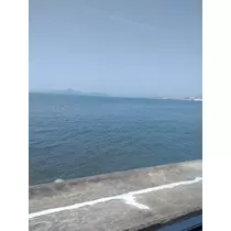 りか