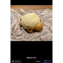 ひな