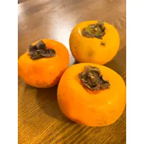 さくら