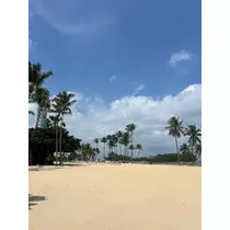 ふうか