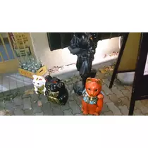 七星 夏純