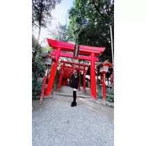 夢乃 サラ