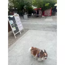 あいら