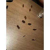 あやの