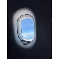 せいか