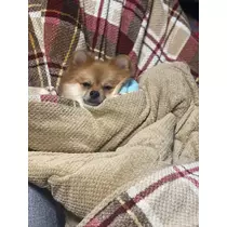 なお