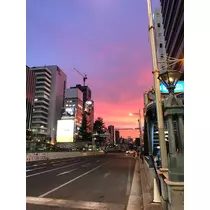 姫花