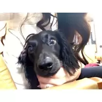 りえ