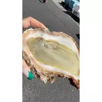 あおい
