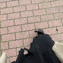 ちゃお