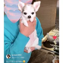愛羽 仁美