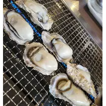 桃園 かんな