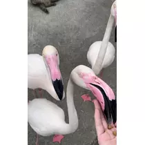 てぃな