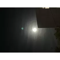 ルナ