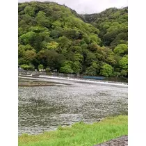 柿原 雅