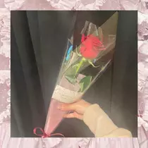 あかり