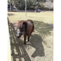 みお