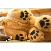 コウ