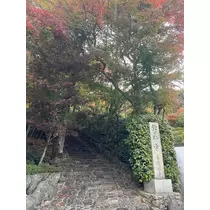 なつき