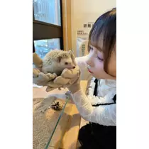♡みみあちゃん♡