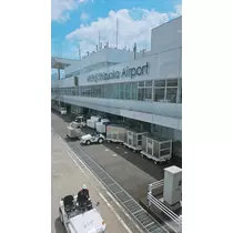 ゆり