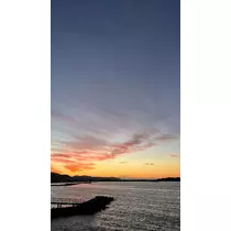 さつき