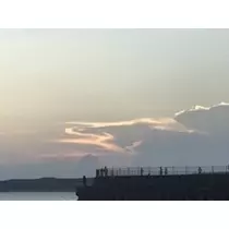 愛羽 仁美