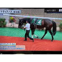 みさと