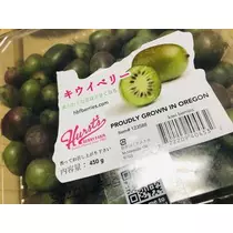 長瀬 純恋