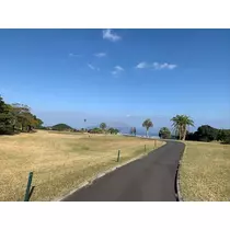 しおん