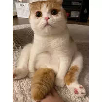 るな