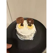 しおん