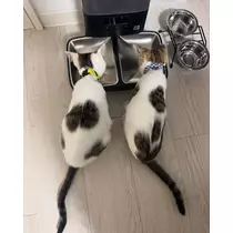 しょう