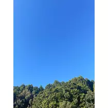 ちゃーんと、せな