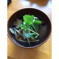 吉原 亜依