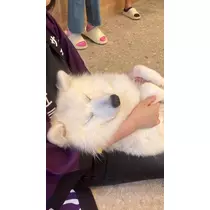 マコト