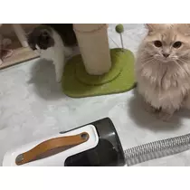 花咲 るり