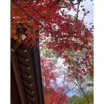 岩影 えいみ