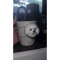 神楽 ゆあ