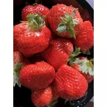 あいり