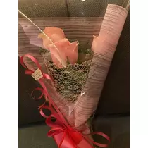 白石 愛莉