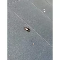 のあ