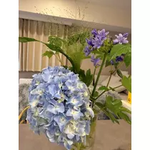 美波 あいか