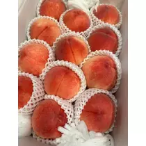 日向 茉莉