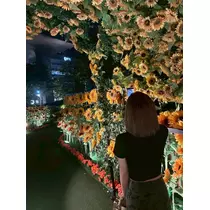 かのん