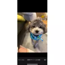うづき ふうか