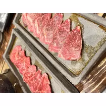 猫羽 のん
