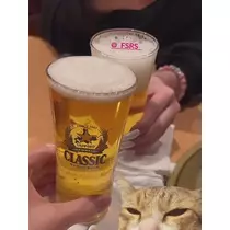 七星 夏純