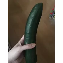 七星 夏純