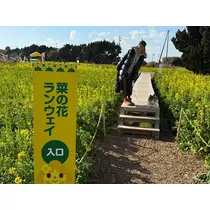 あいら